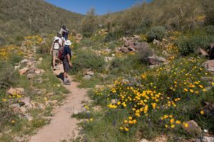 1Scottsdale’s McDowell Sonoran Preserve